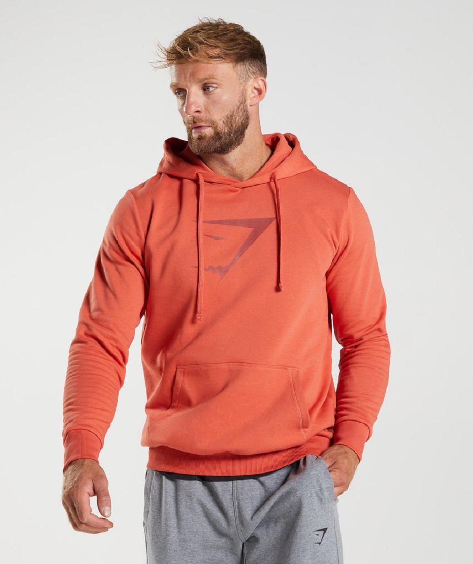 Sudadera Con Capucha Gymshark Sharkhead Infill Hombre Rojas | CO 3605TCE